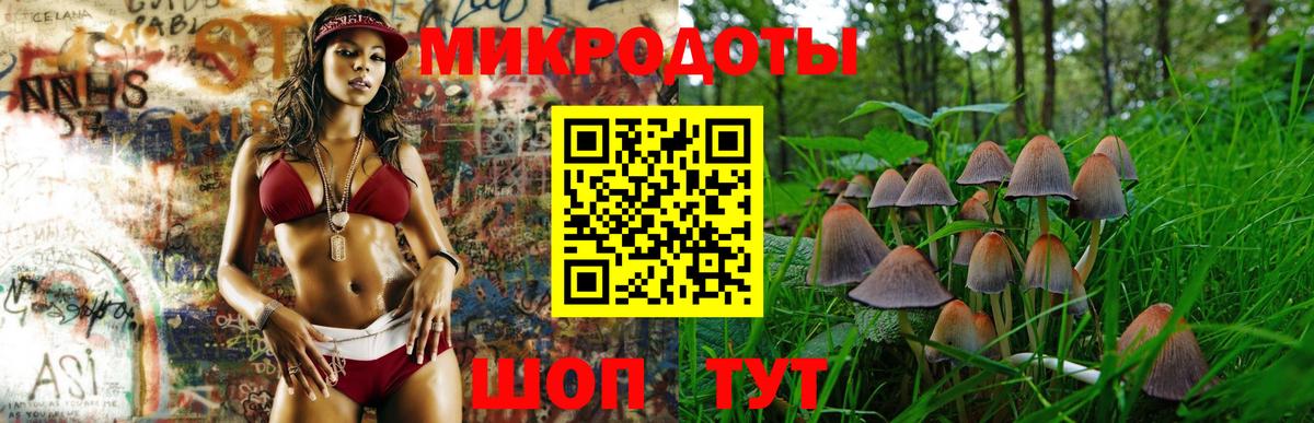 Псилоцибиновые грибы ЛСД Бор